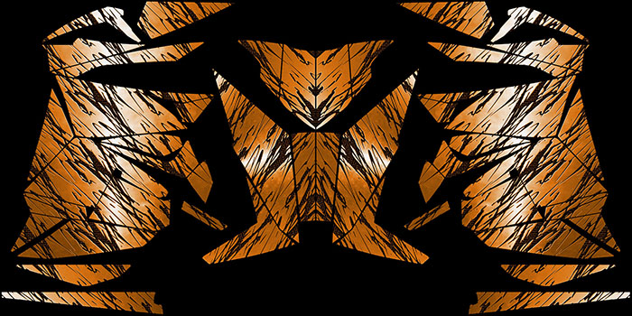 ARCTIC CAT PRO ORANGE GRAPHICS