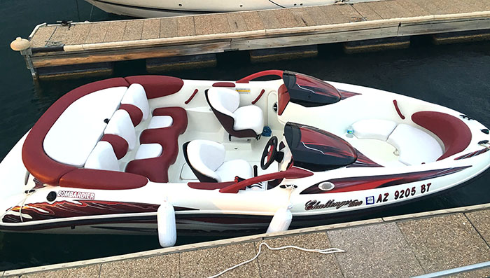 Esquire Challenger 1800 custom graphics